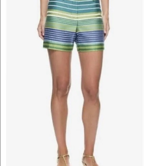 J. Mclaughlin Stripe Tina Shorts- NWT - Picture 3 of 4